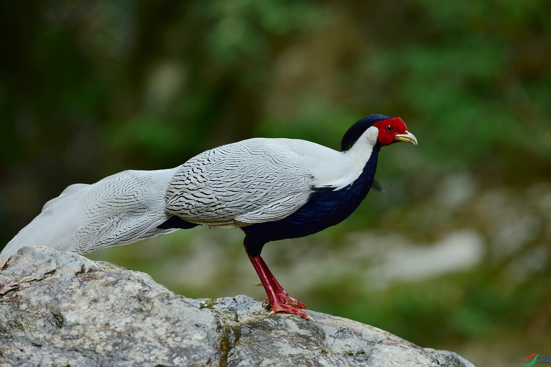 D8I_2352.jpg