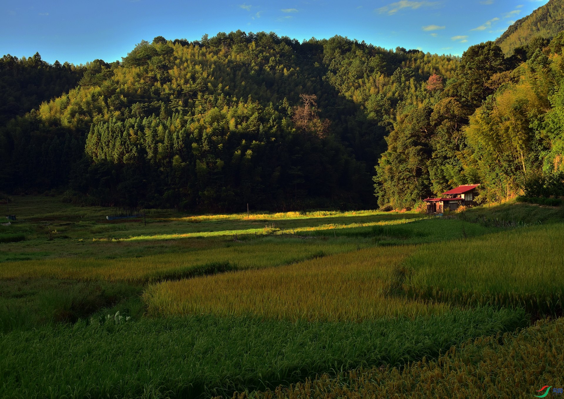D8I_3580.jpg