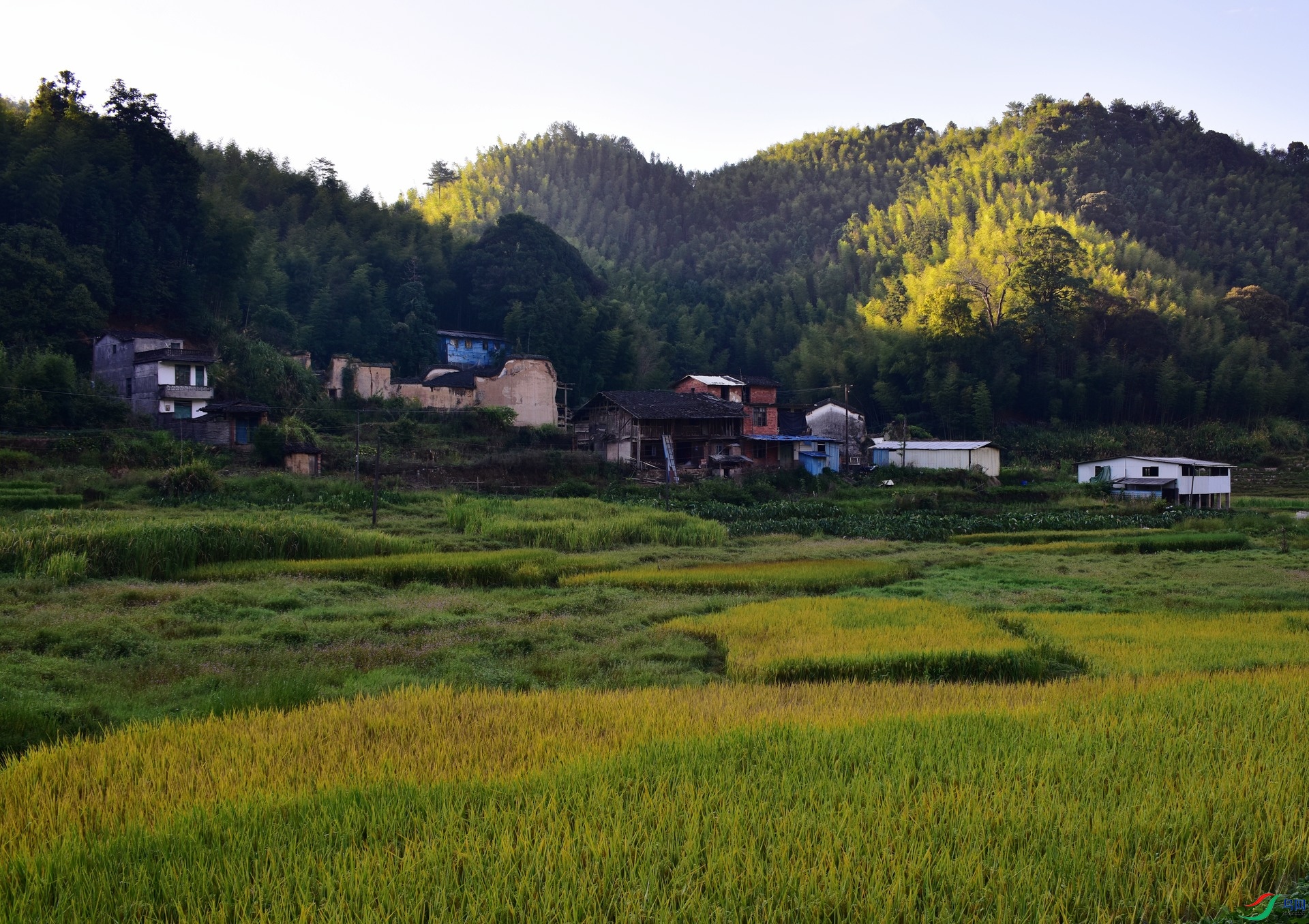 D8I_3573.jpg