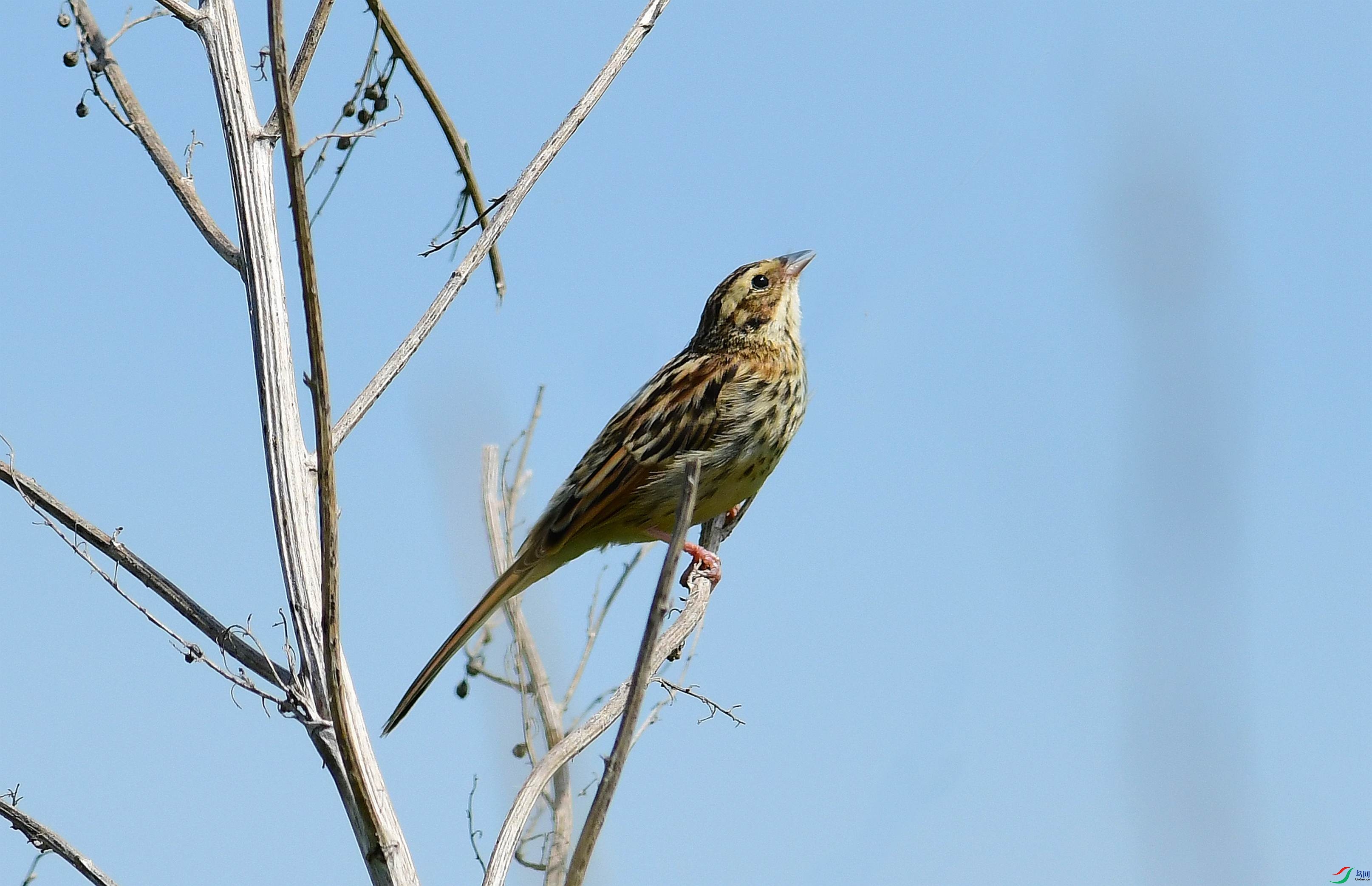DSC_1408.JPG