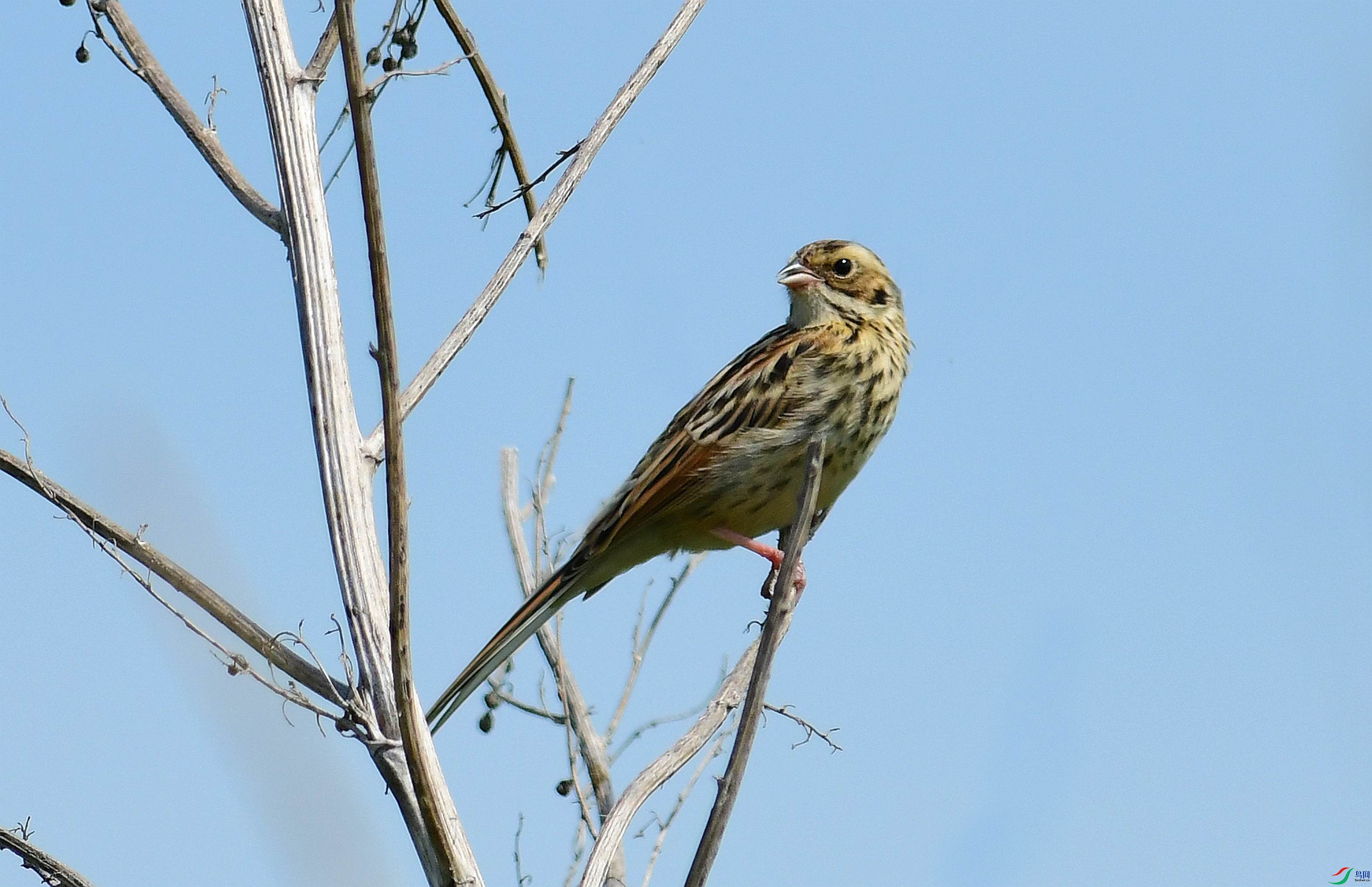 DSC_1412.JPG