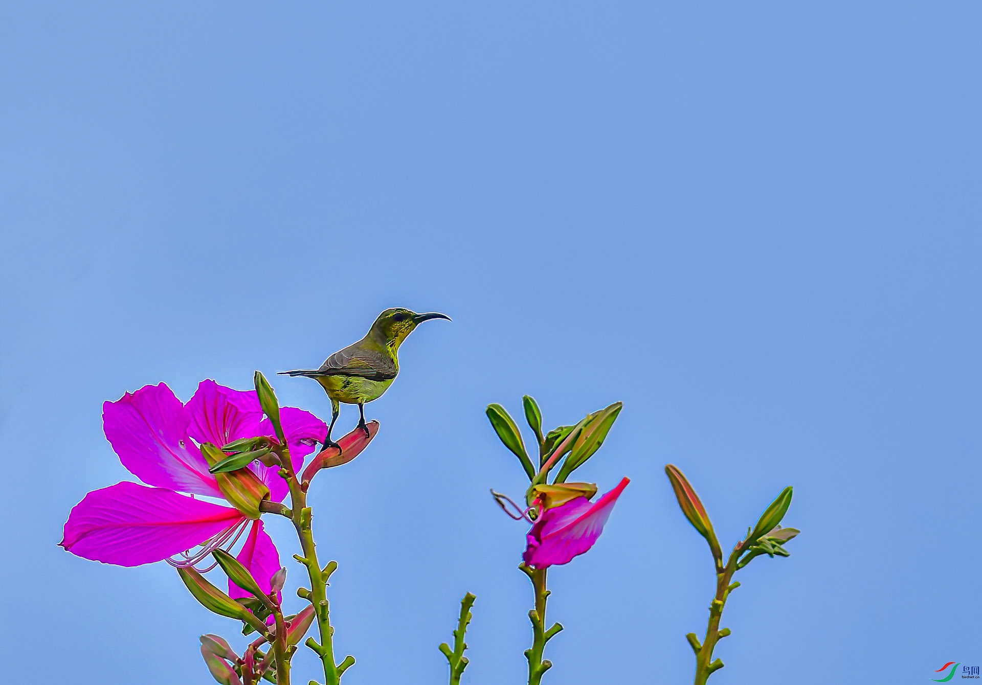 DSC_6377.JPG