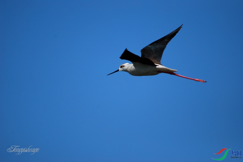 DSC_3401.jpg