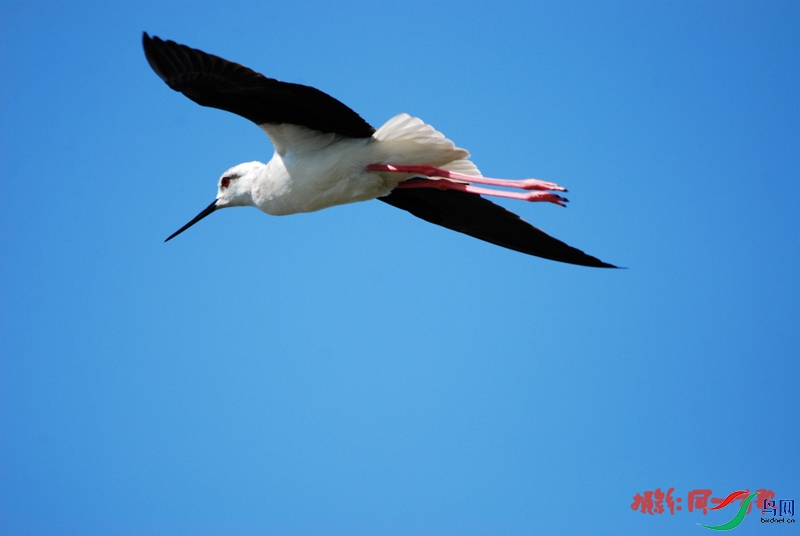 DSC_3442.jpg