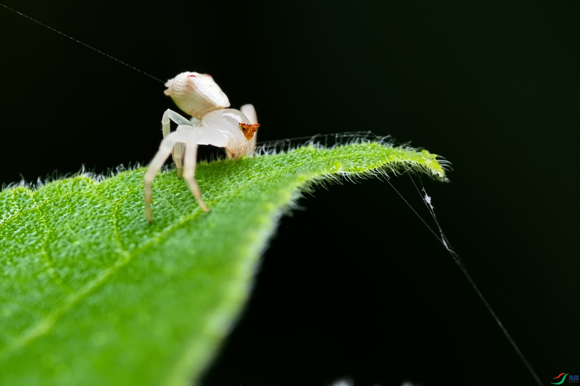 ֩��5DSC_6366.jpg