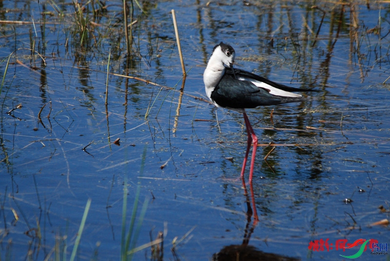 DSC_3676.jpg