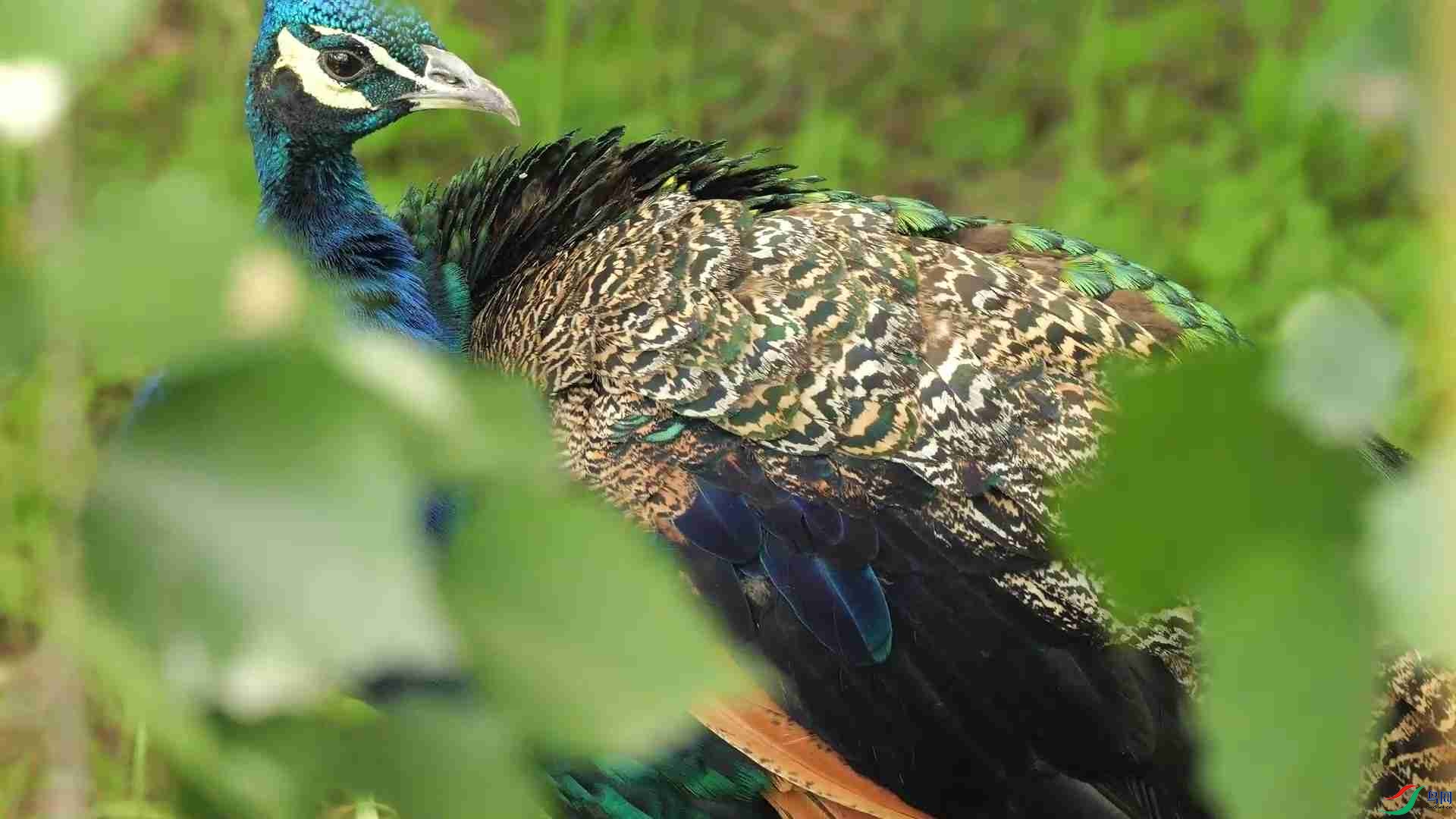 8��19�� (4)_Moment.jpg