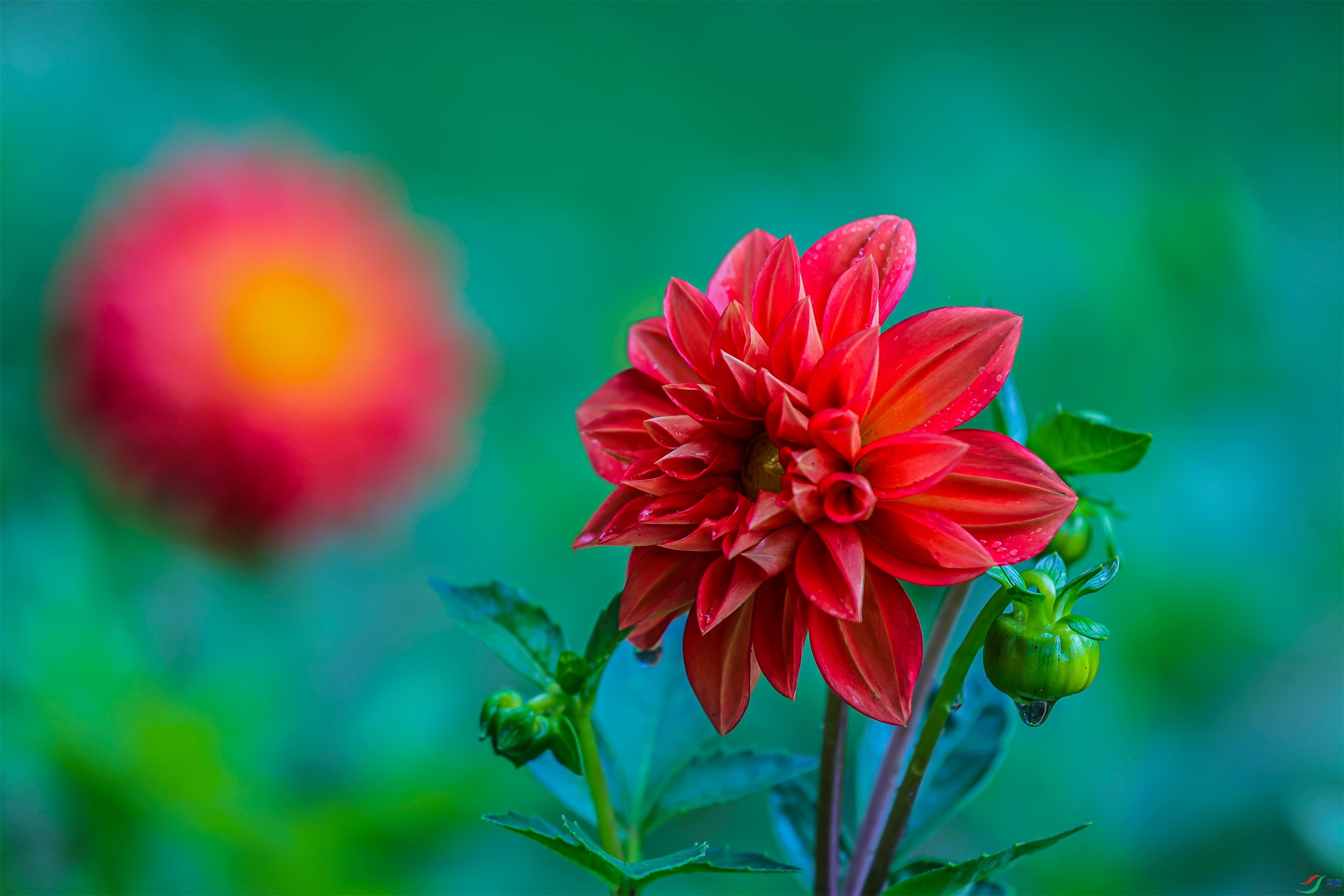 1K3A1671 ����1.jpg