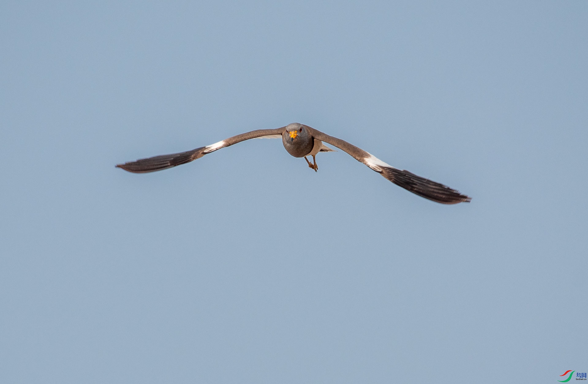 DSC_5385.jpg