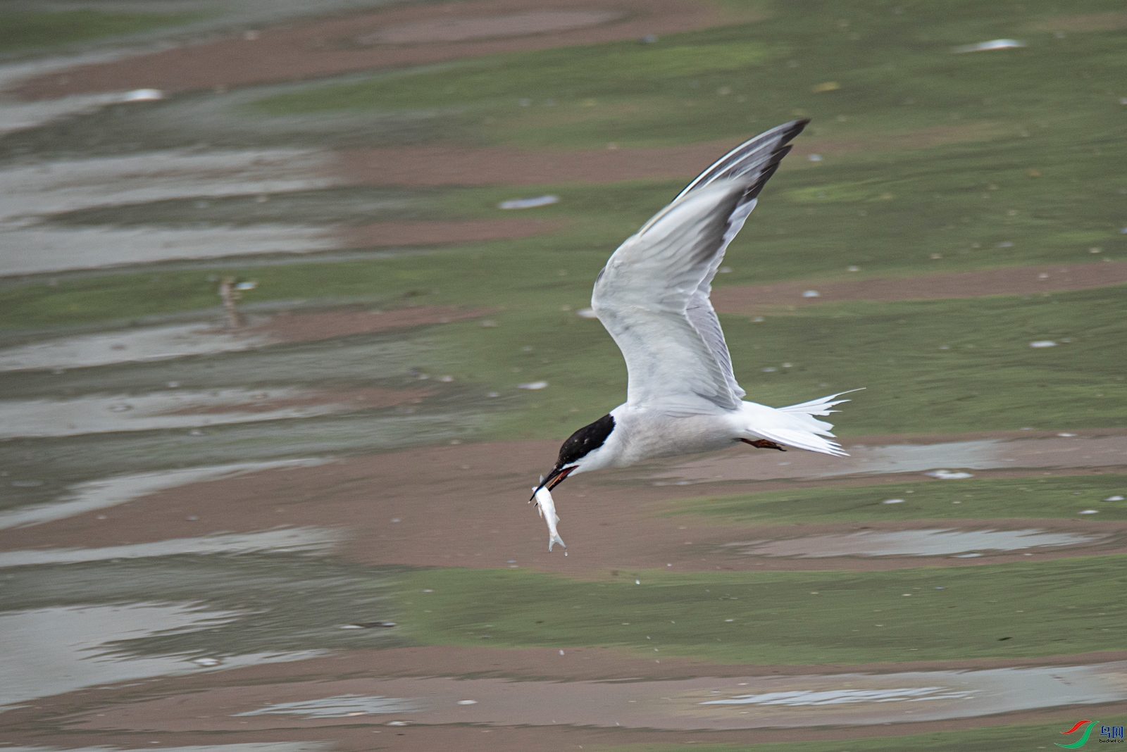 DSC_5491.jpg