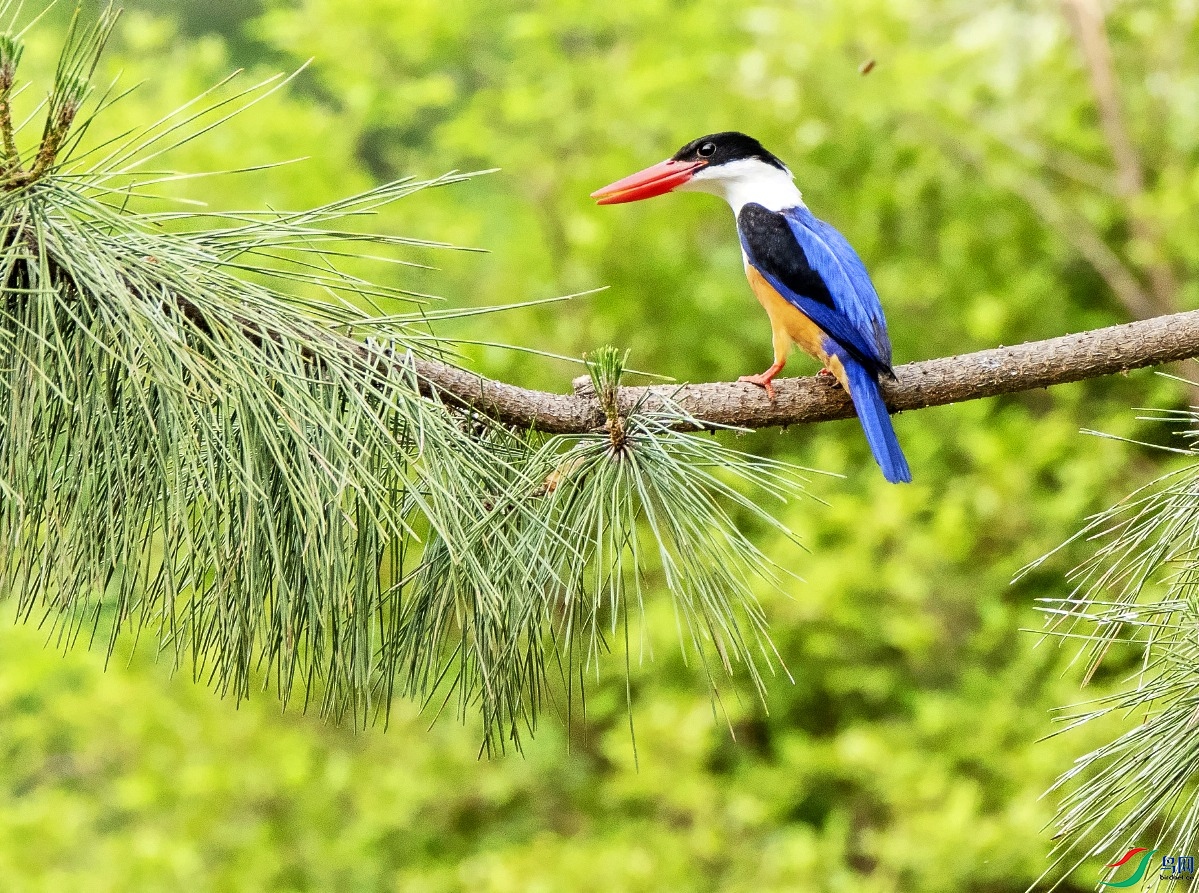 DSC_0636---_conew1.jpg