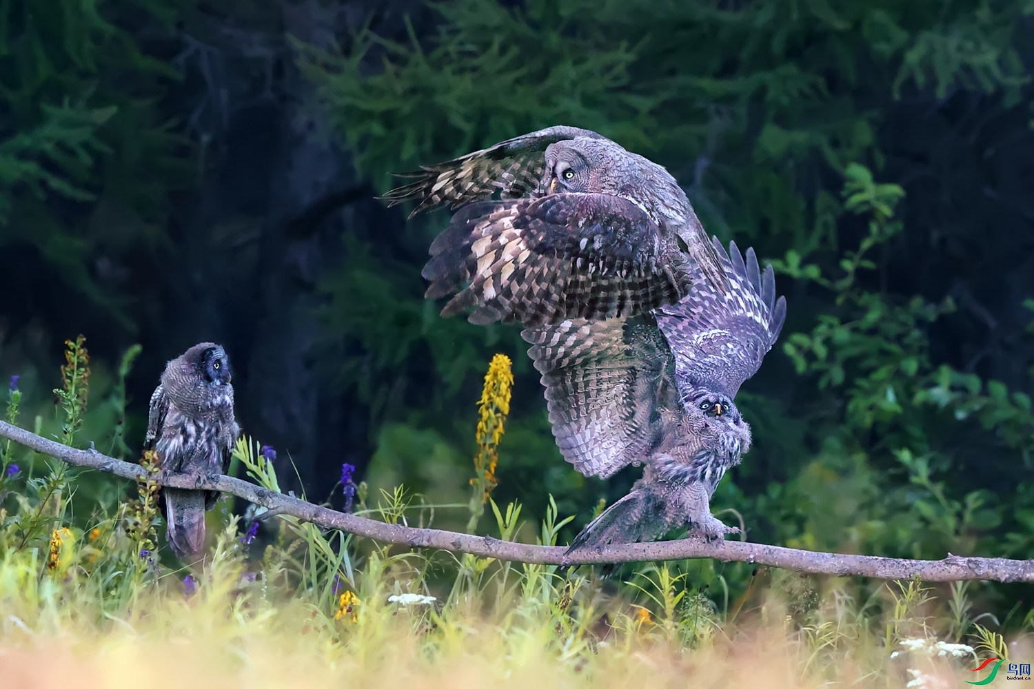 A09I7665-����.jpg