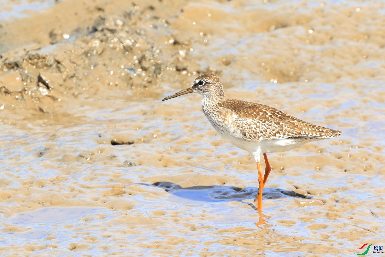 ʲô�֣����� 0F4A5875.jpg