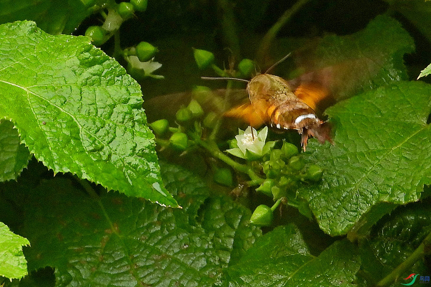 DSCN5503.jpg