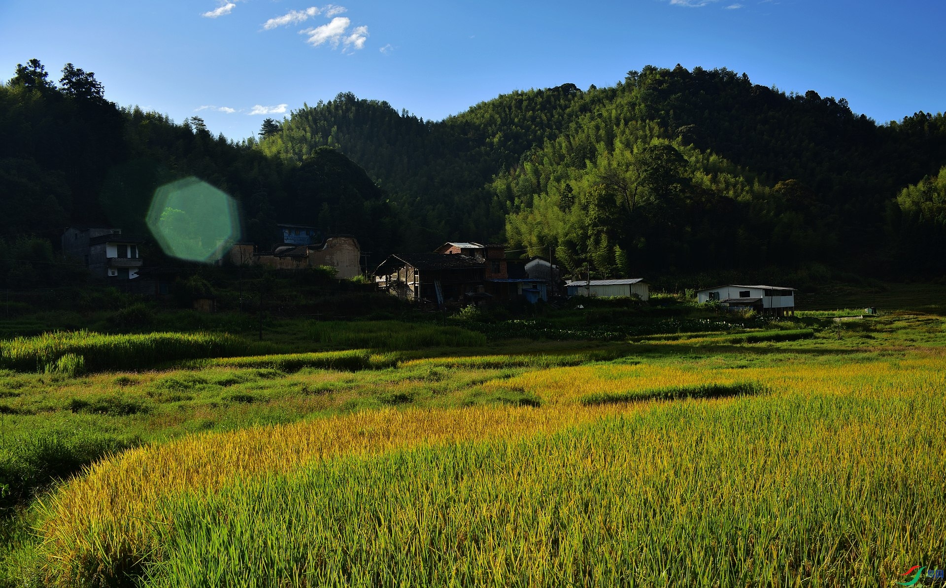 D8I_3635.jpg