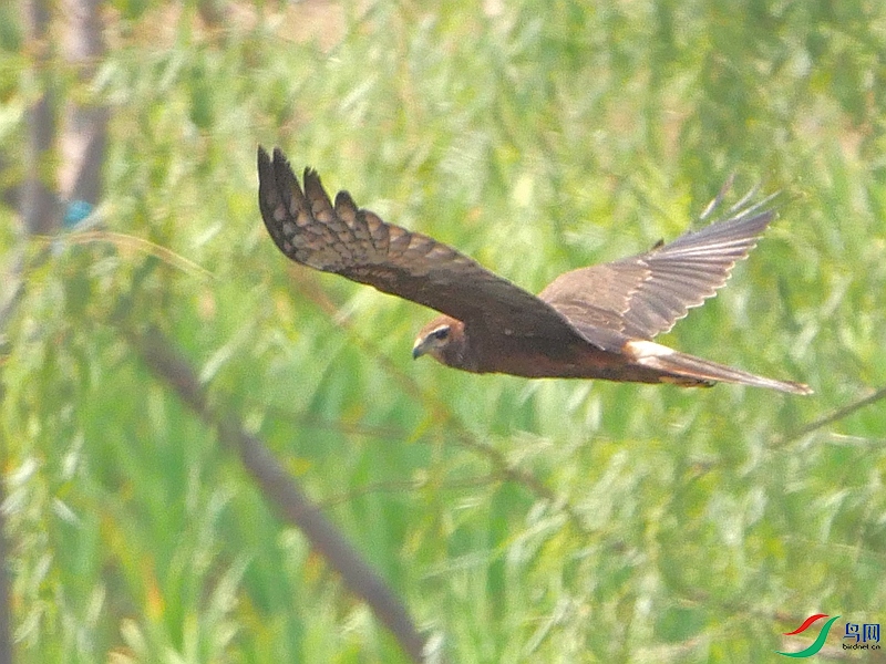 P8990641 - ����.JPG