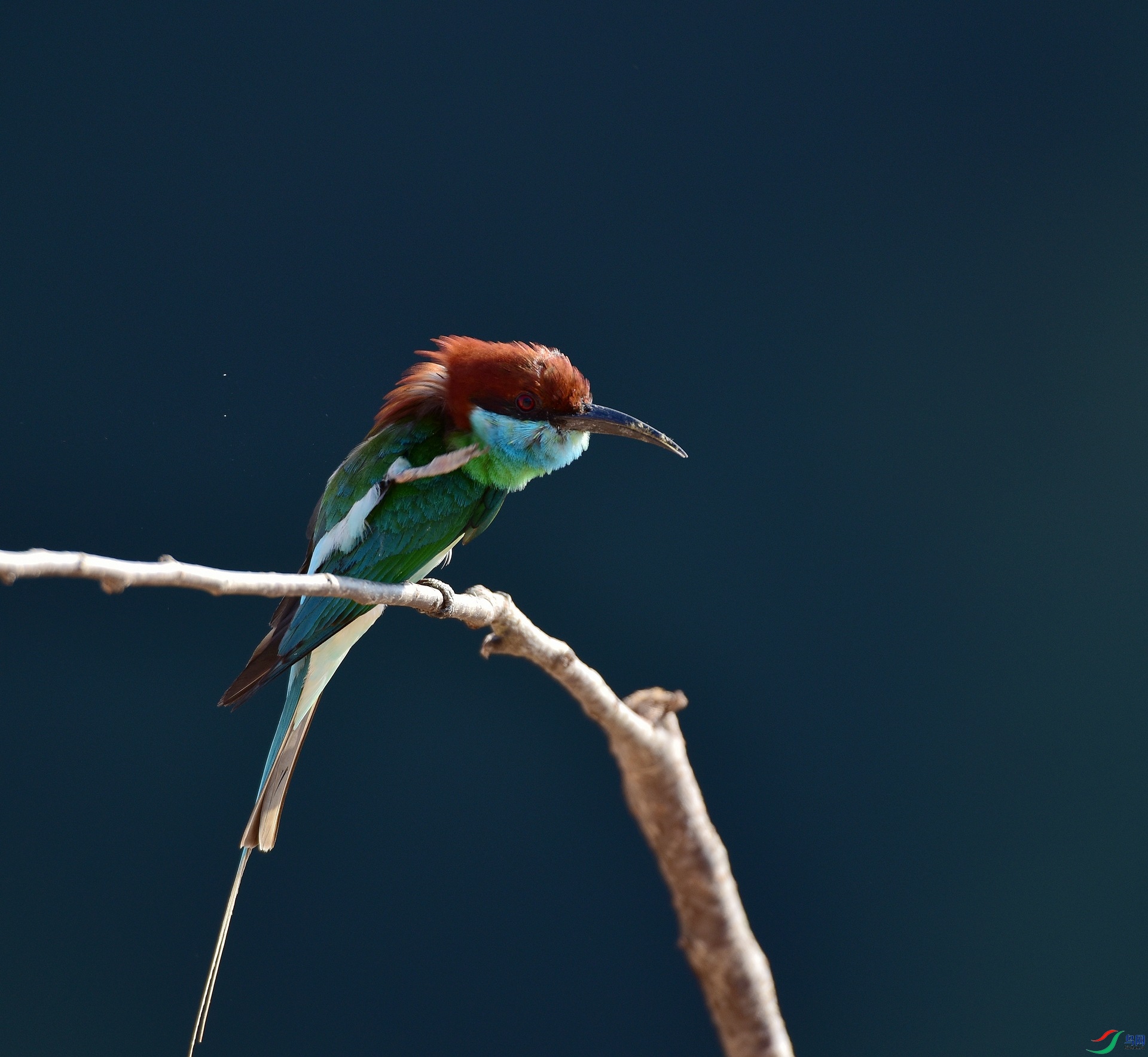 D8I_6270.jpg