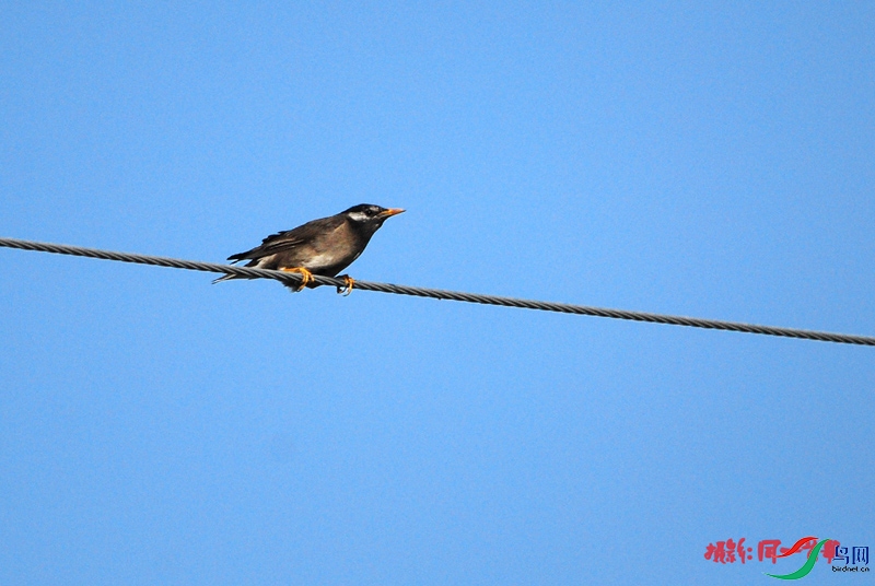 DSC_3843.jpg