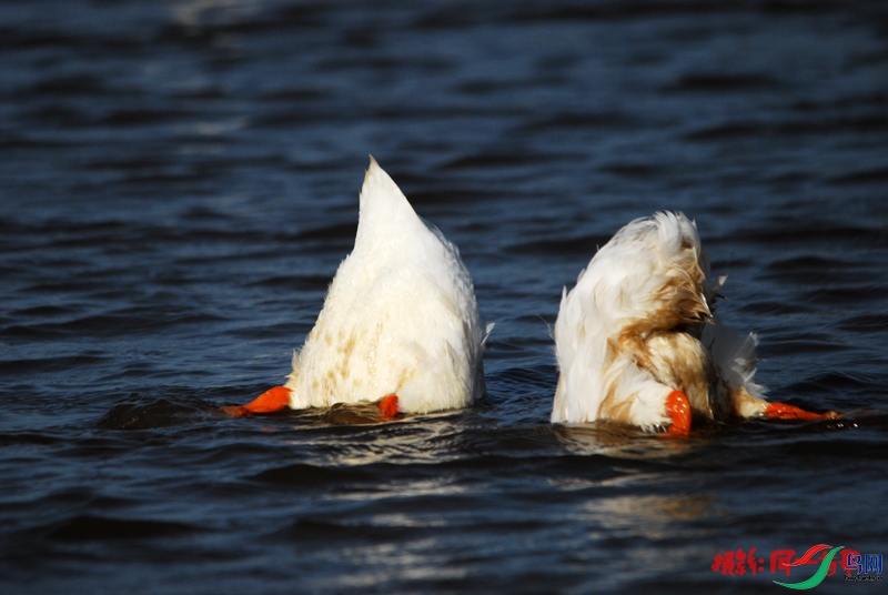 DSC_3948.jpg