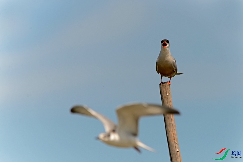 DSC_4057.jpg