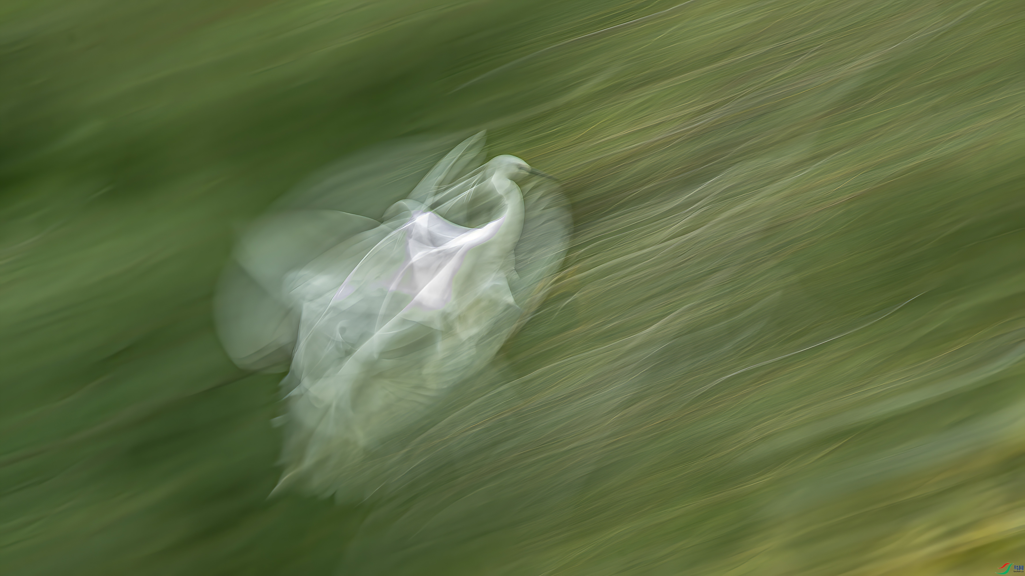 DSC_1222_23.jpg