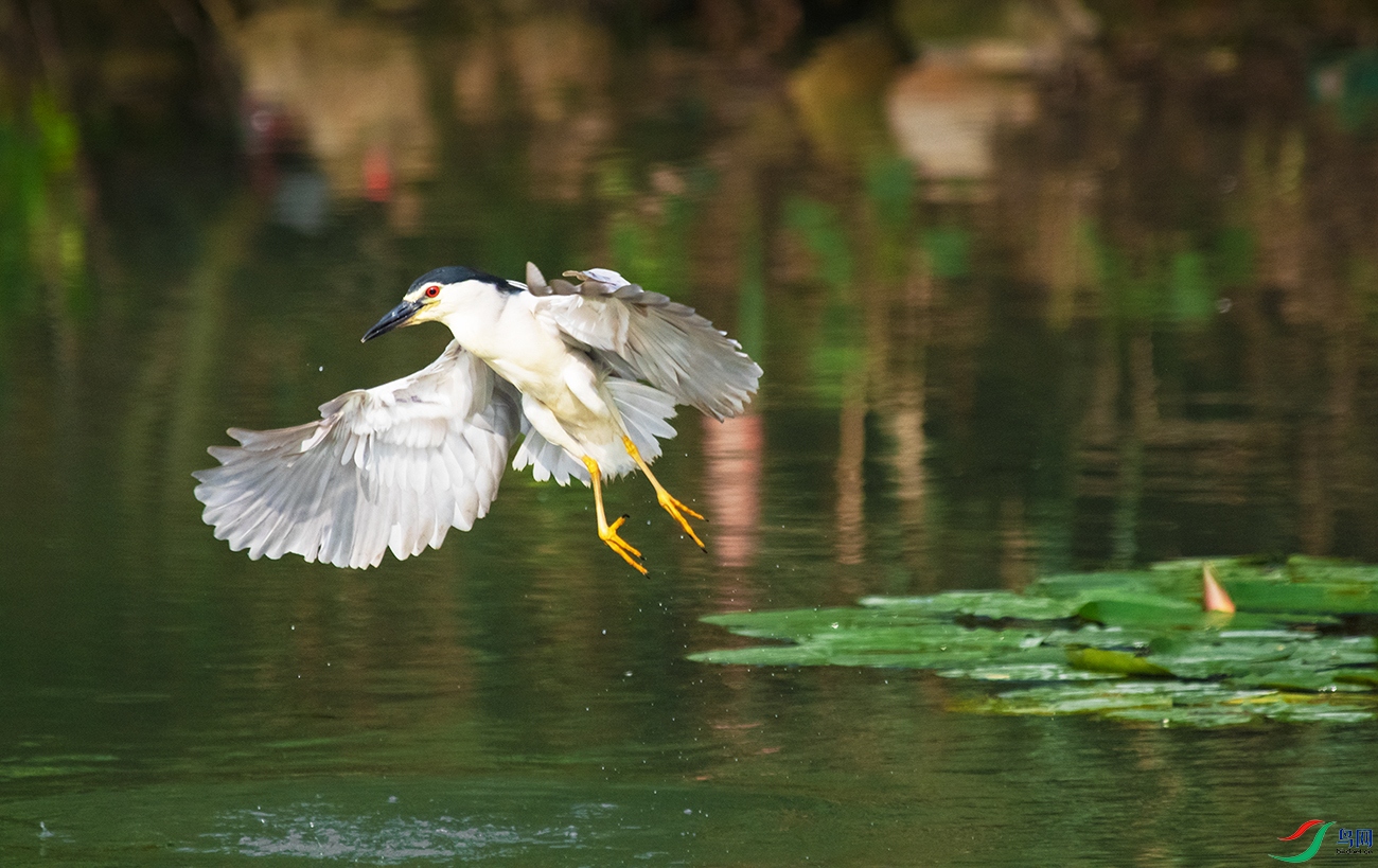 DSC_4019().jpg
