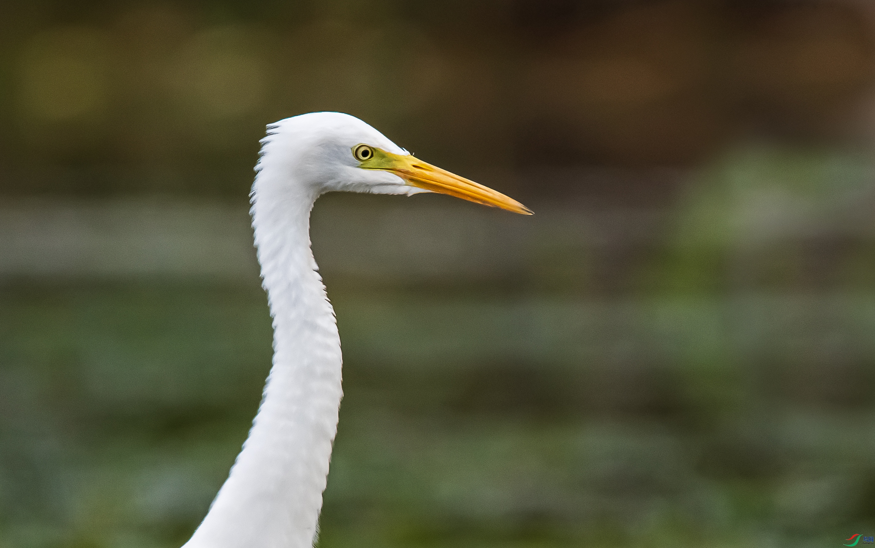 DSC_9170.jpg