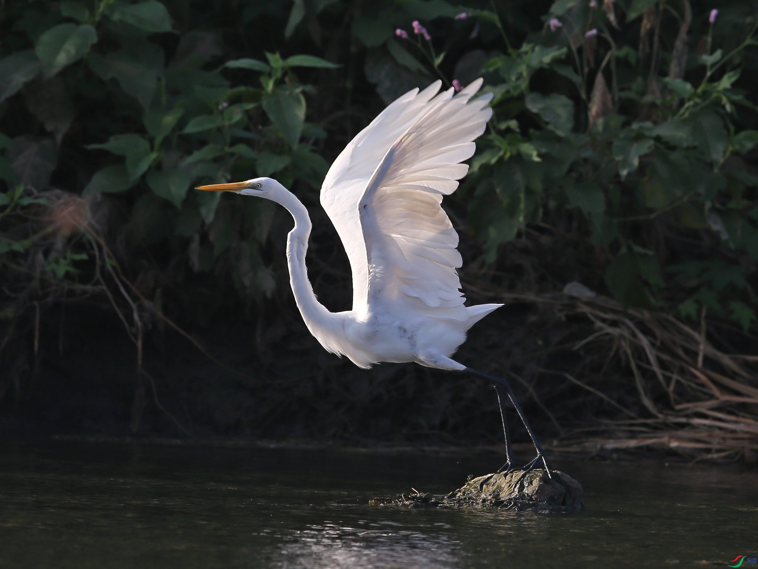 DSC2357.jpg.jpg