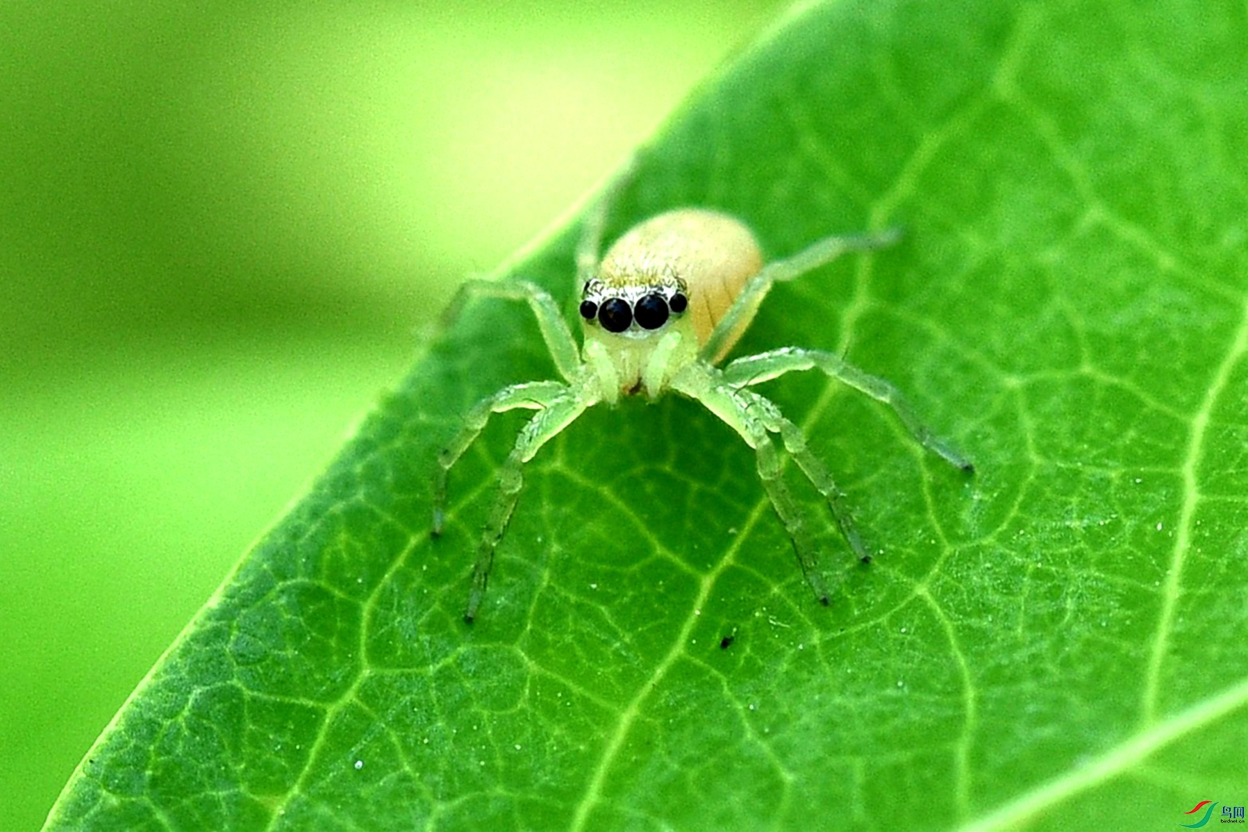 DSC_9349_����.jpg
