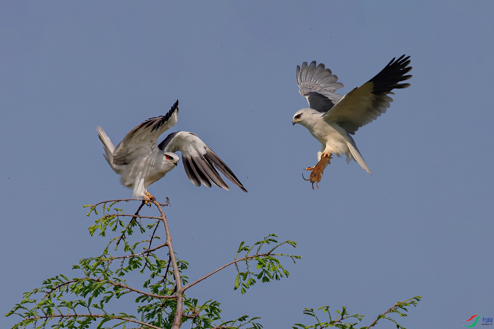 WXL_0436���أ� (2).jpg