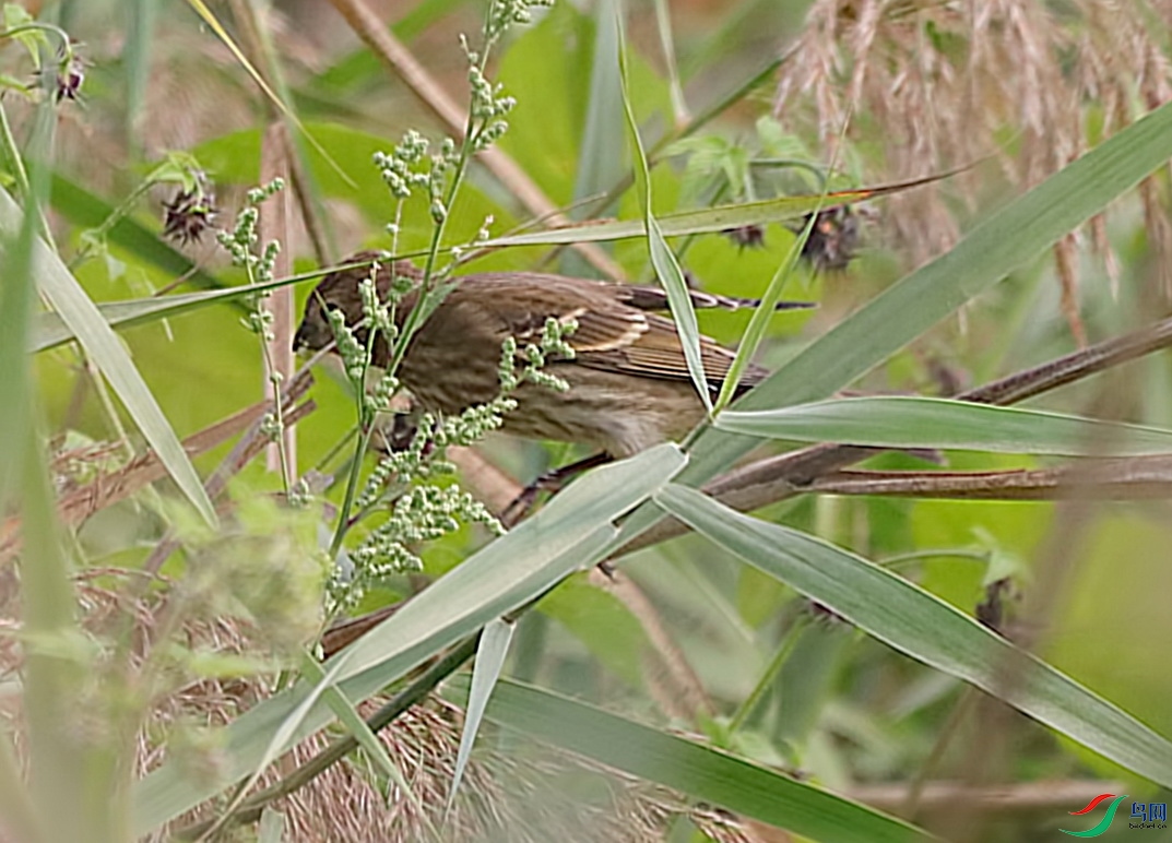 IMG_9127_res-Edit.jpg