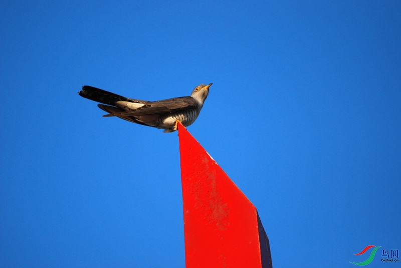 DSC_5190.jpg