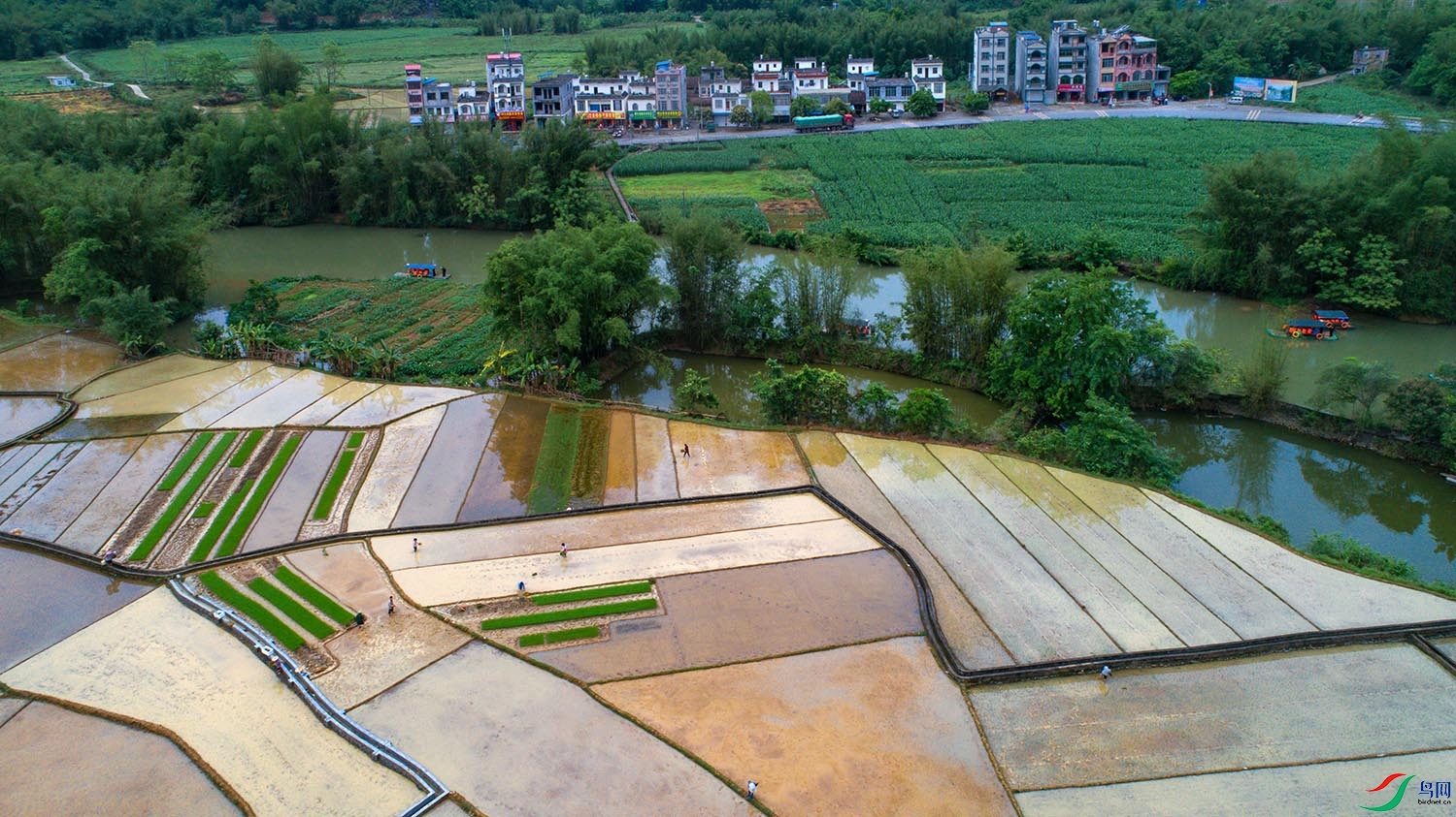 DJI_0423aa.jpg