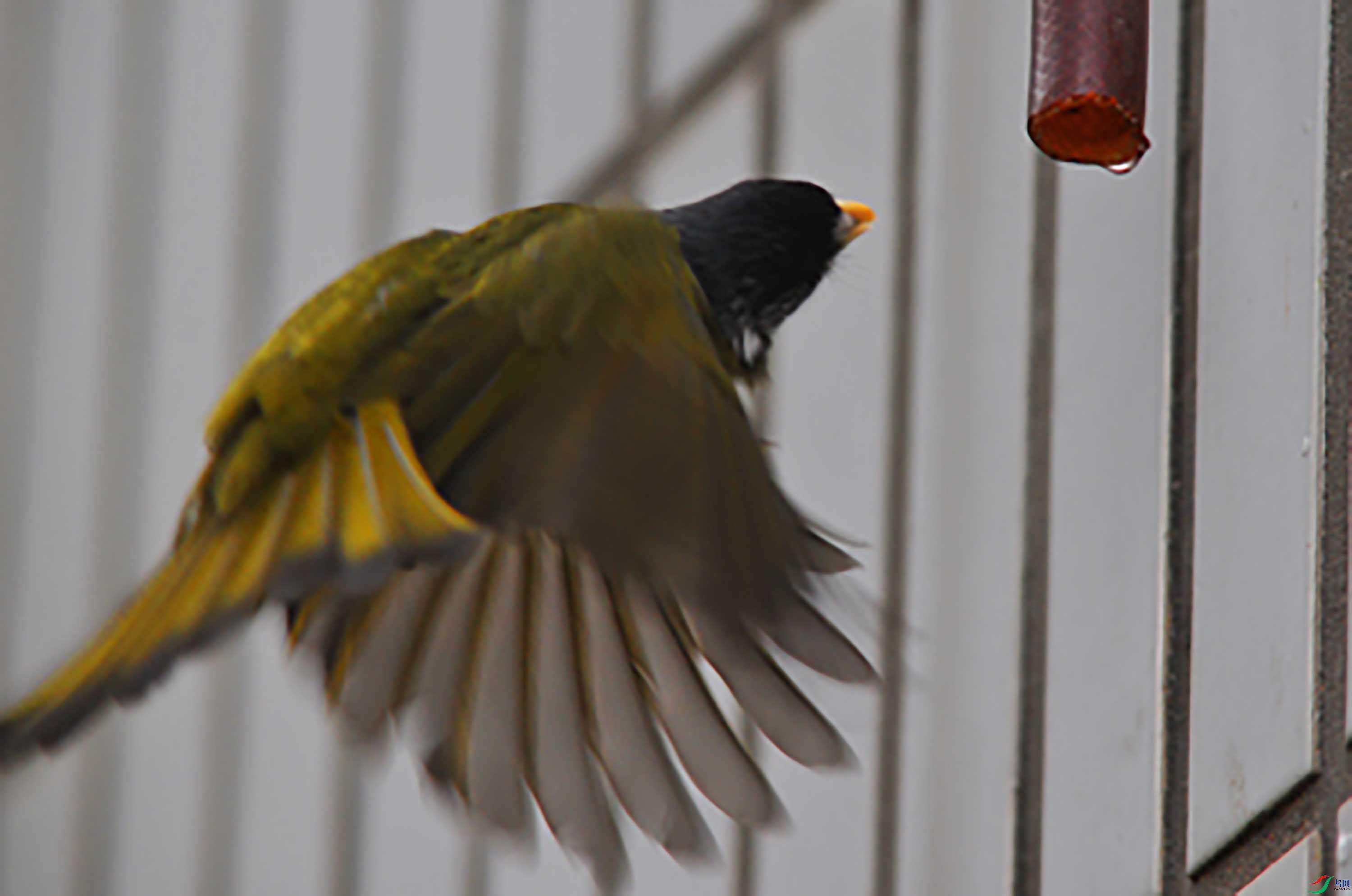 DSC_7284.JPG