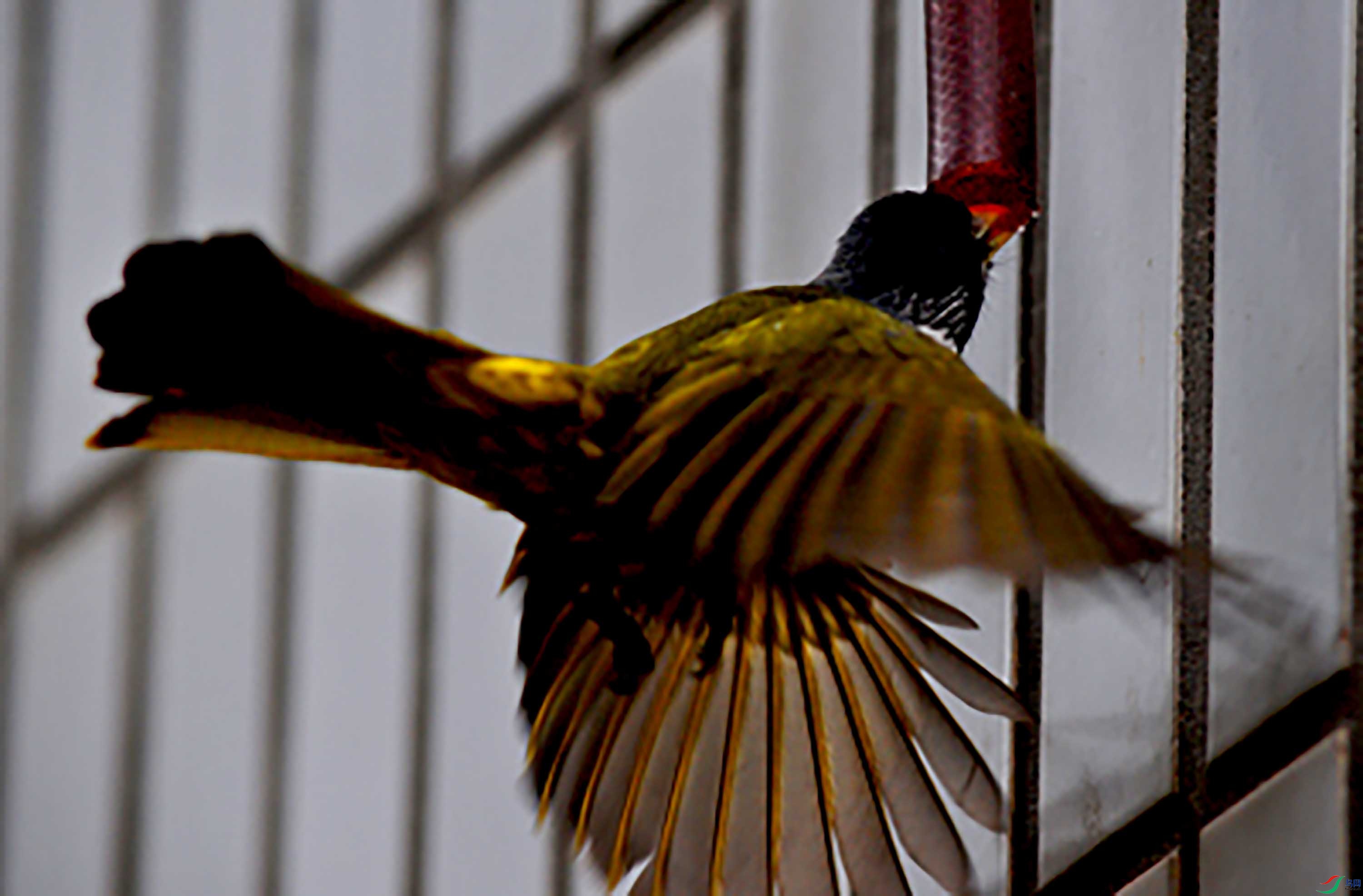 DSC_7359.JPG