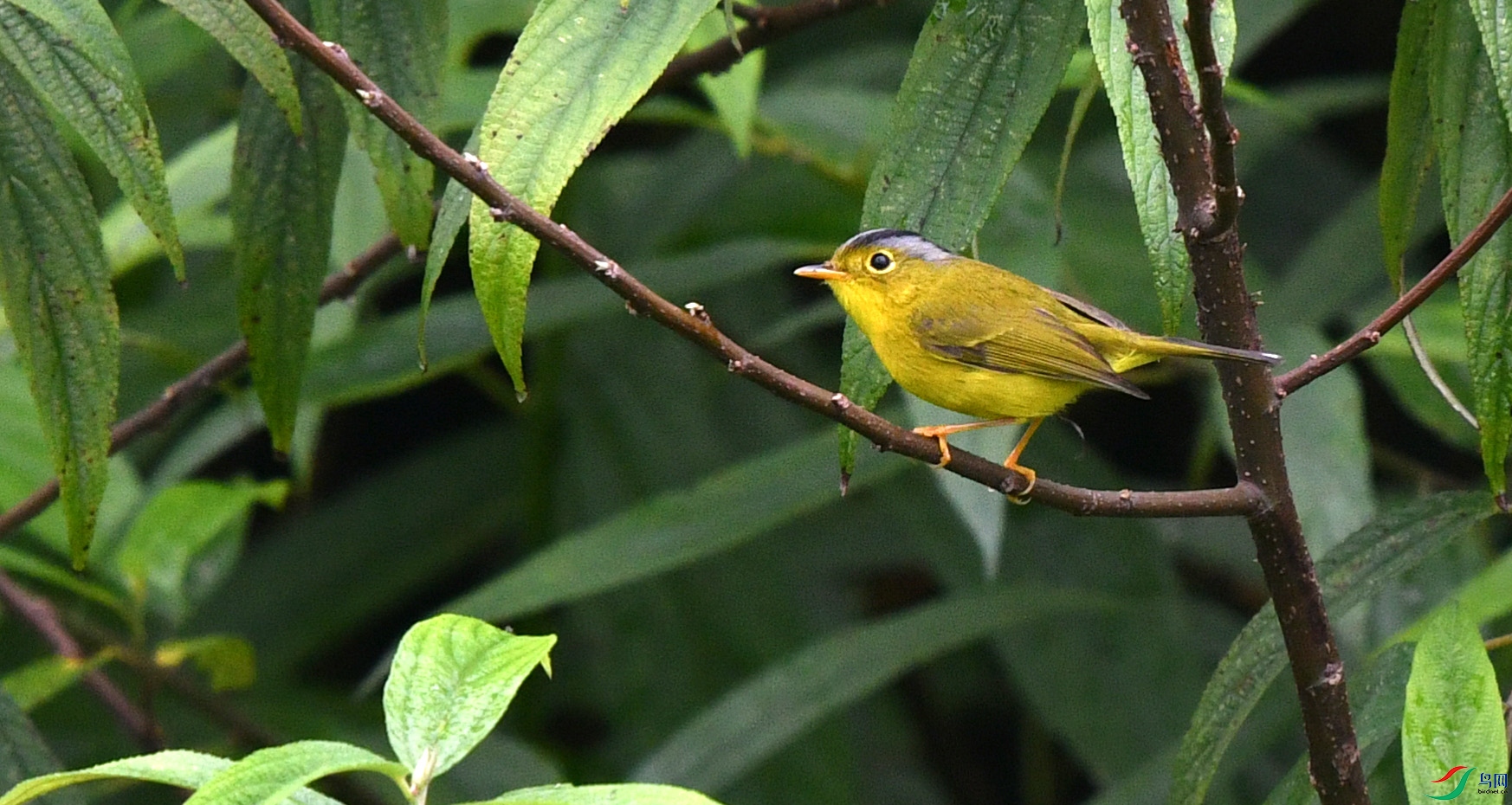 DSC_5436.JPG