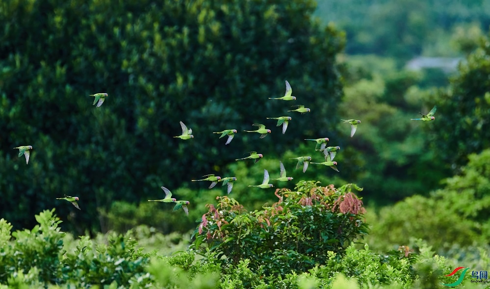 ��ͷͬ�� (1).jpg