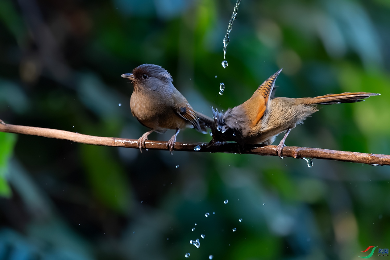 DSC_2039_DxOa.jpg