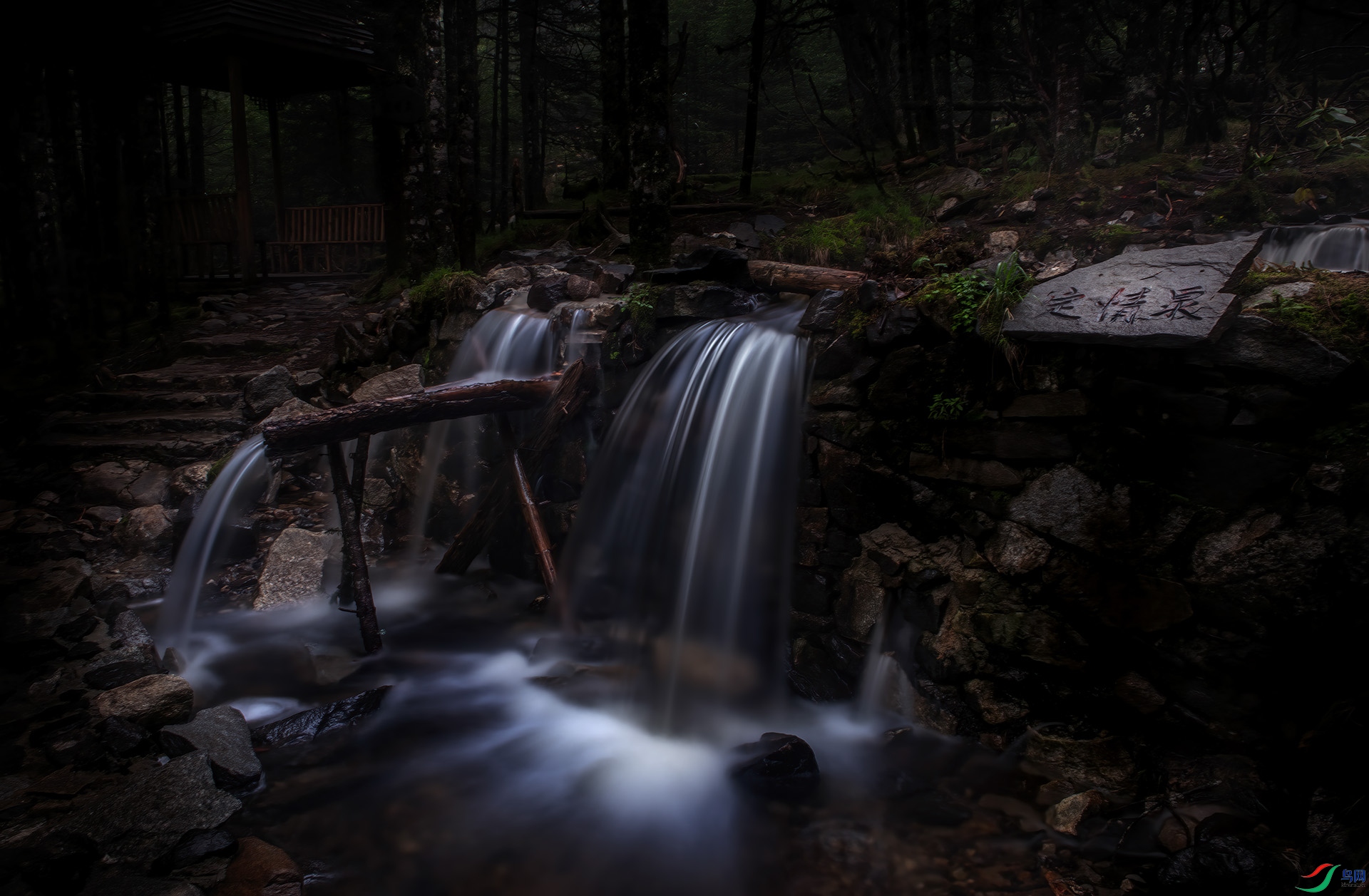 _DSC2855-NEF_DxO_DeepPRIME - ����Ȫ.jpg