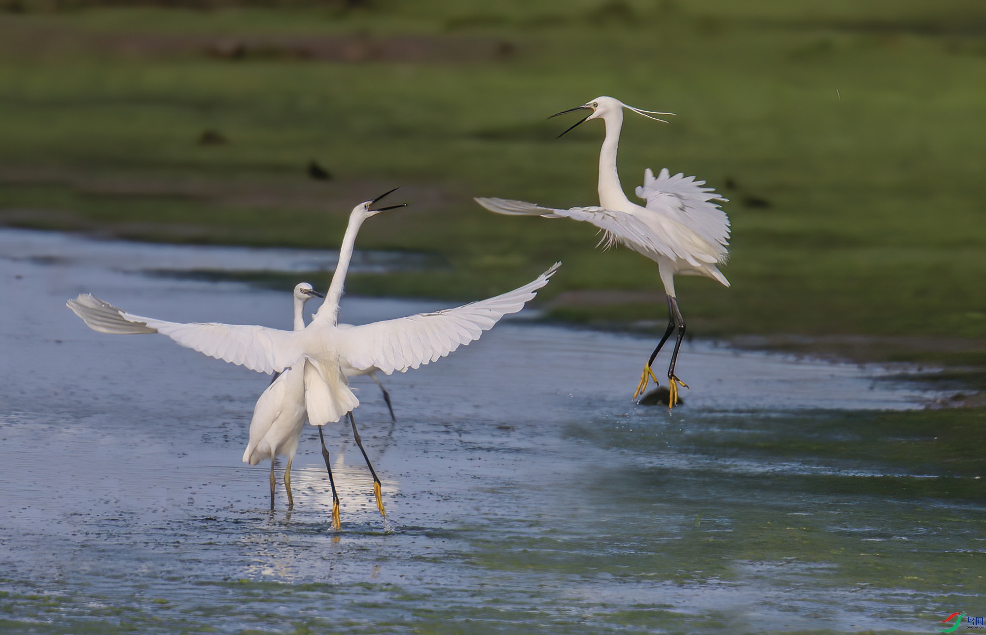 �Ի�  9691----333.jpg