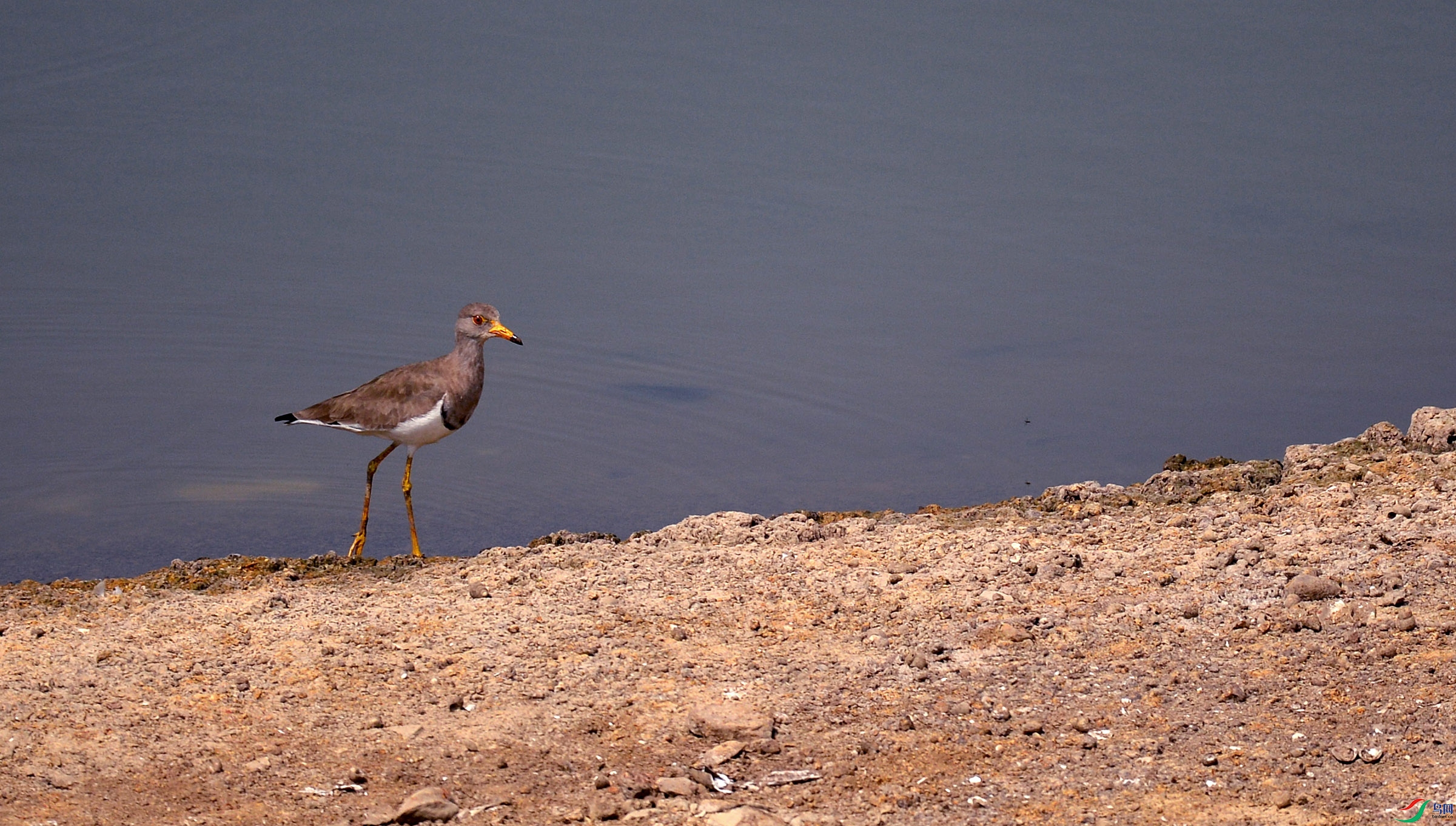 DSC_1362.jpg