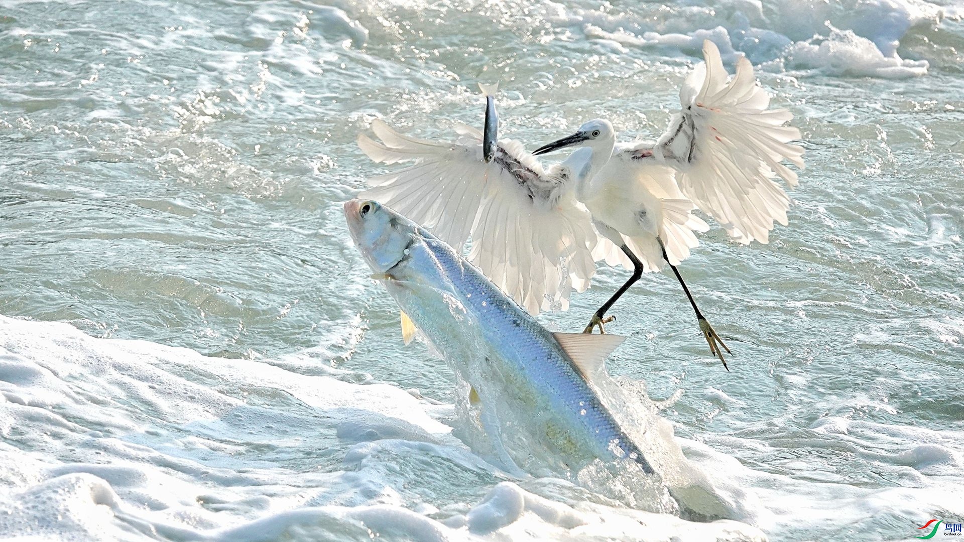 ���ҳ���