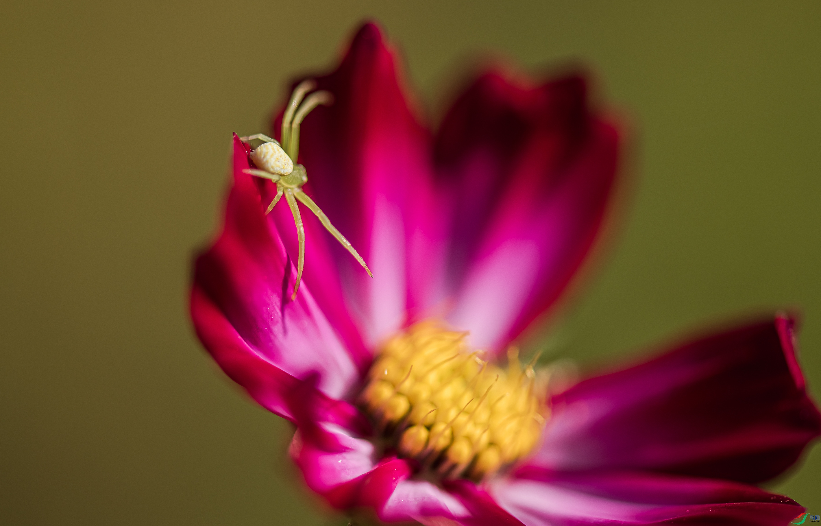 DSC_0807.jpg
