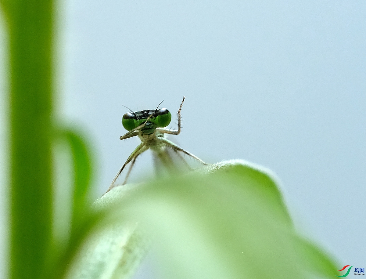 DSCF6248.JPG