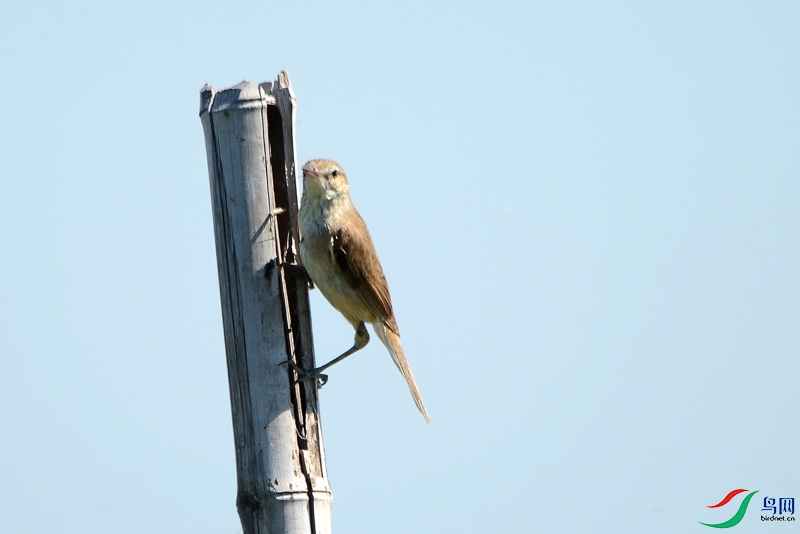 DSC_4931.jpg