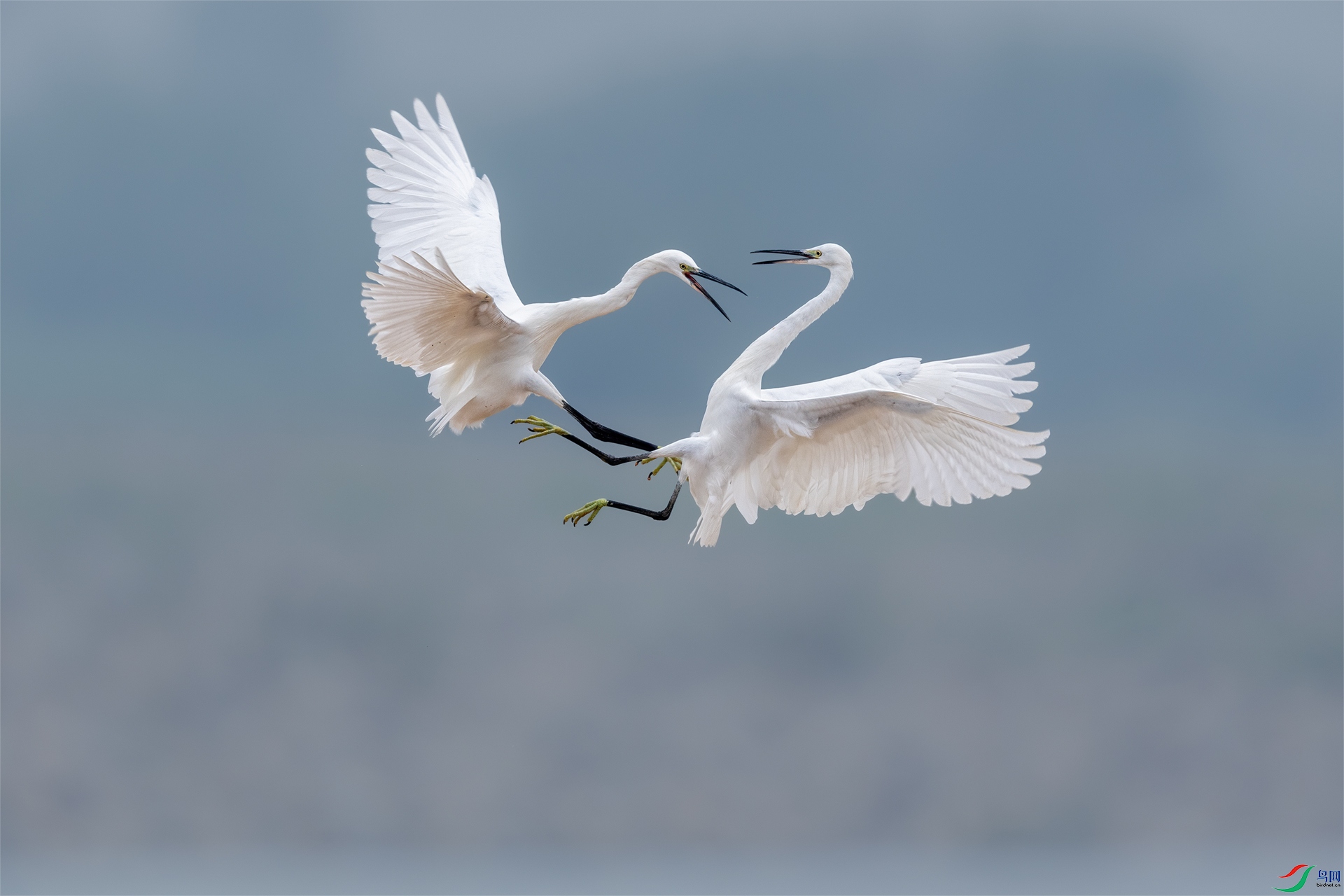 DSC_9418-3.jpg