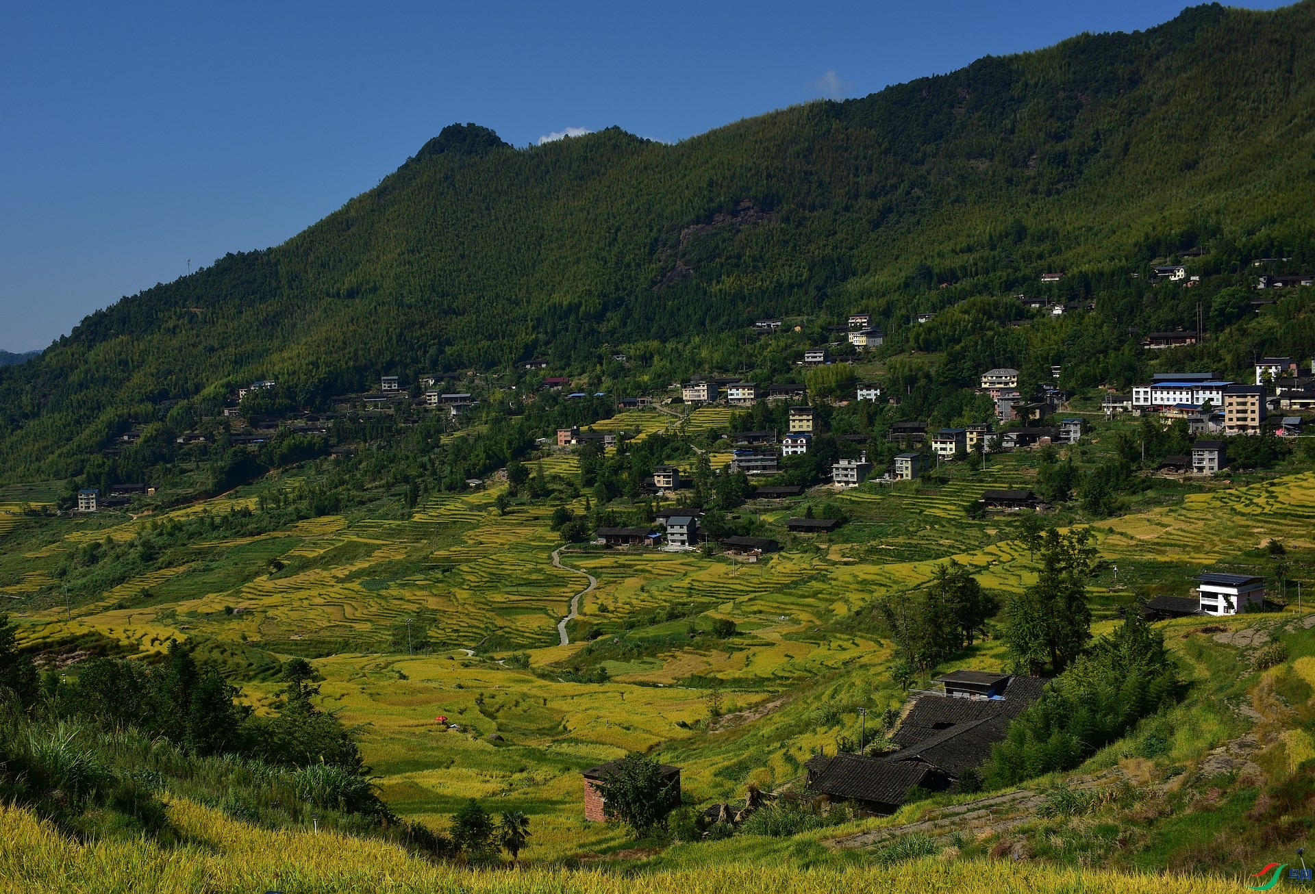 D8I_4054.jpg