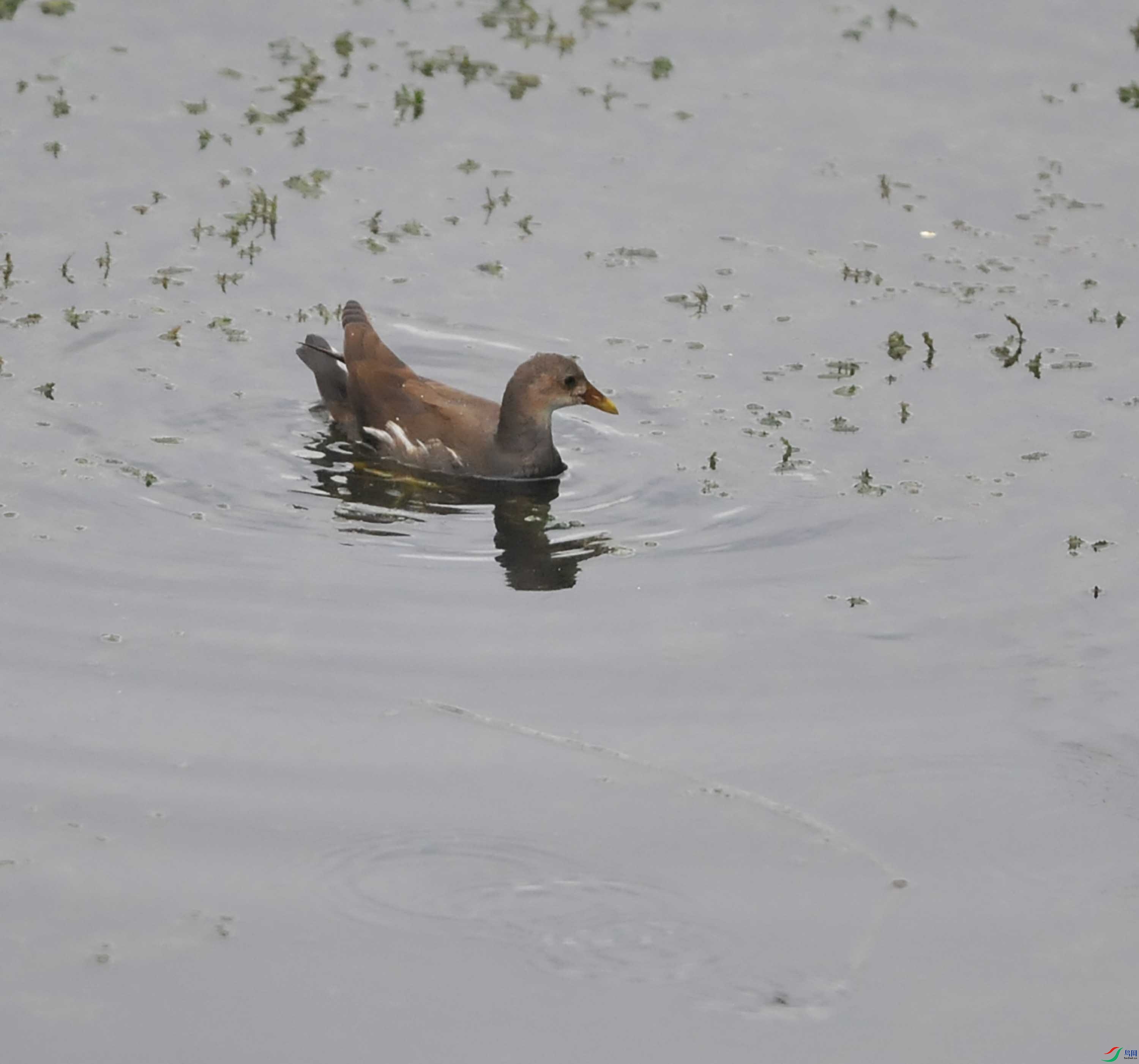 DSC_8908.JPG