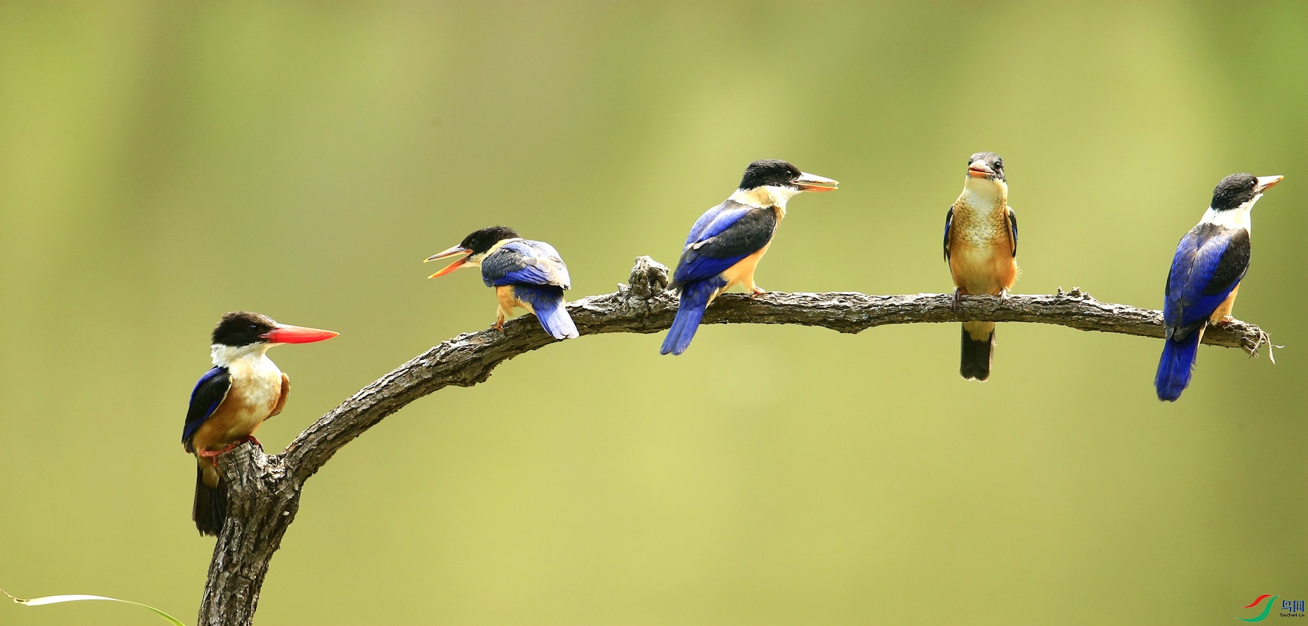 _I8T8184_���� (2).jpg