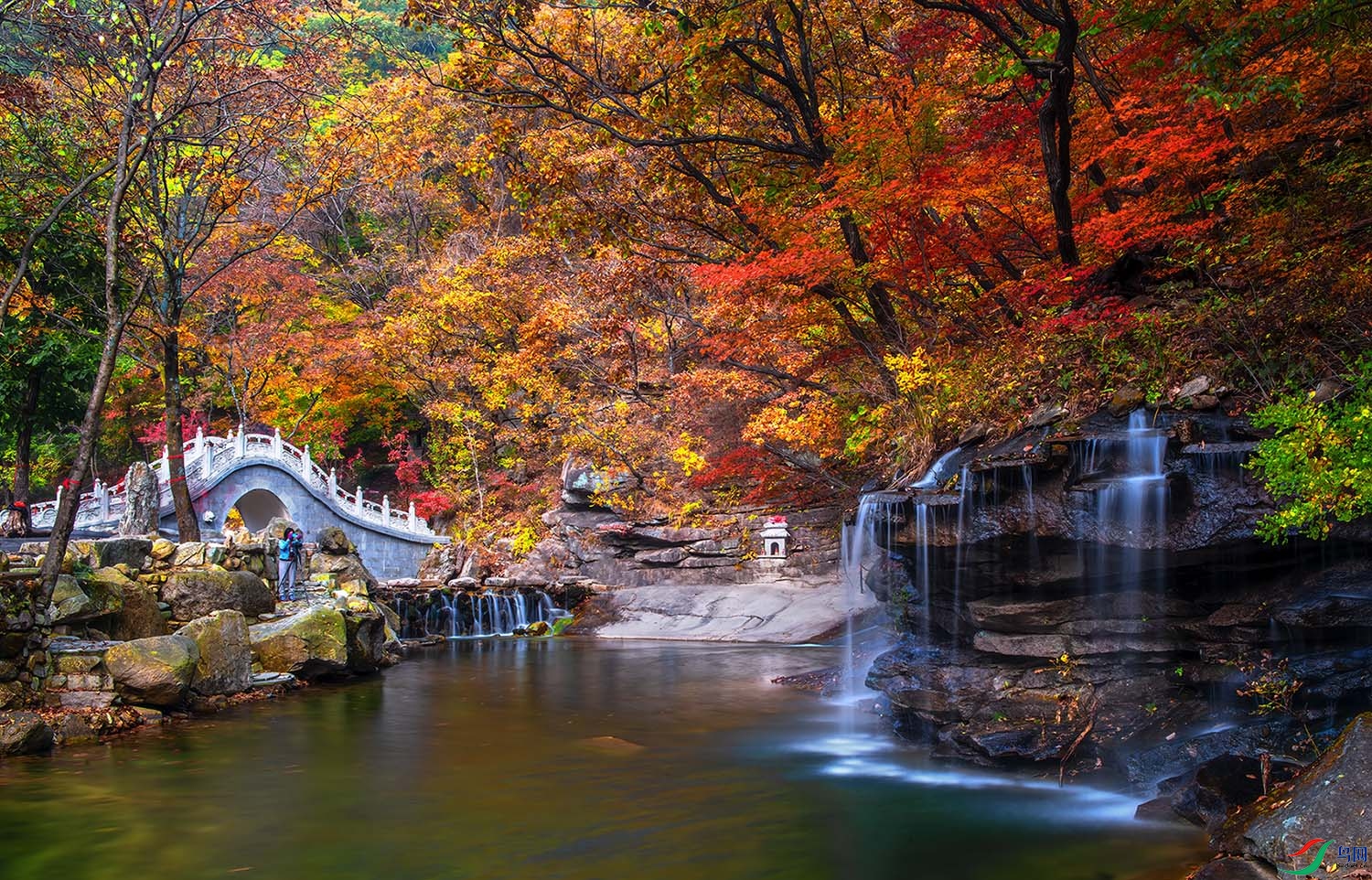 _DSC6083-NEF_DxO_DeepPRIME - ��Ҷ���˵�ʱ��.jpg